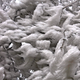 Image for article titled Iced fog turns forest into real life Frozen magic kingdom